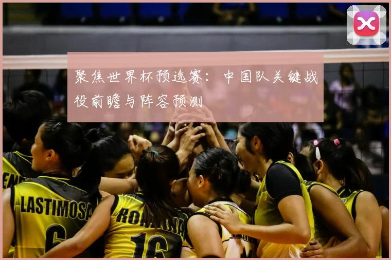 聚焦世界杯预选赛：中国队关键战役前瞻与阵容预测